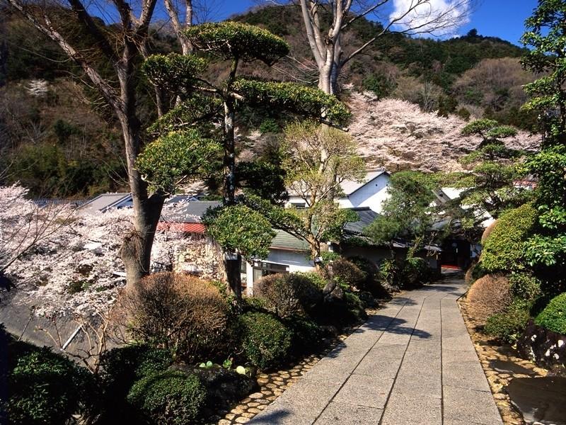 Motoyu Ryokan Atsugi Exterior photo