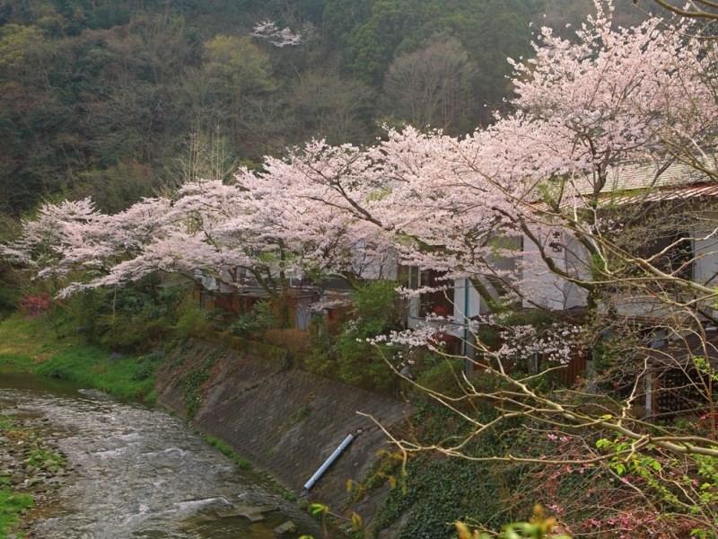 Motoyu Ryokan Atsugi Exterior photo