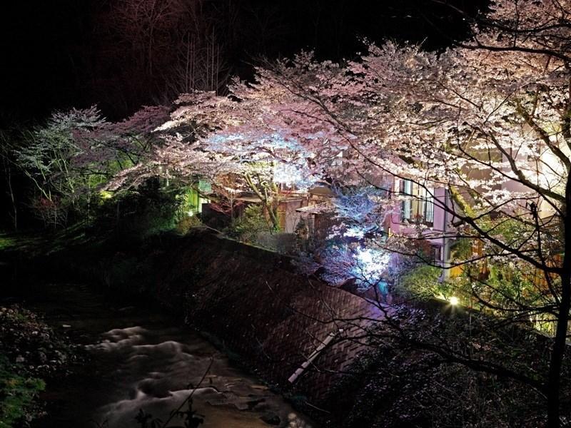 Motoyu Ryokan Atsugi Exterior photo