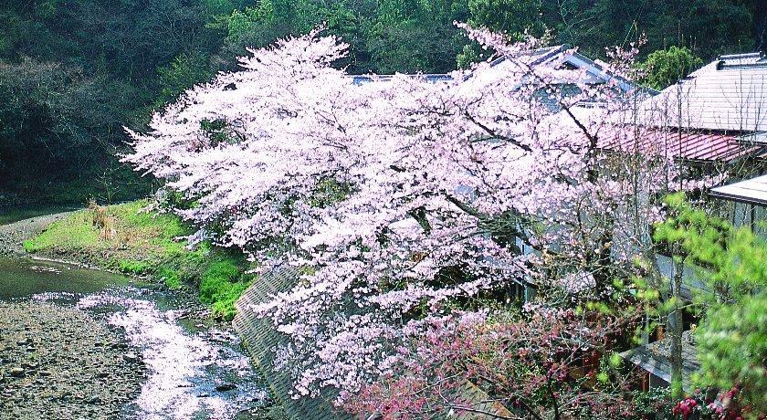 Motoyu Ryokan Atsugi Exterior photo